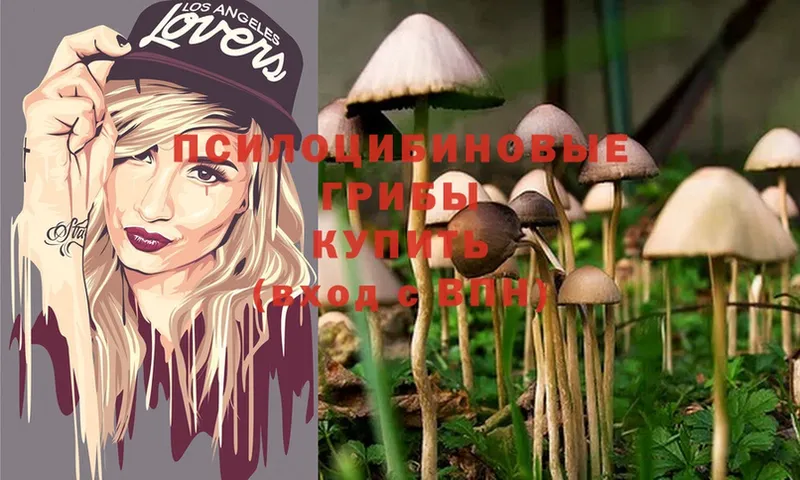 нарко площадка как зайти  Усолье  Псилоцибиновые грибы Magic Shrooms 